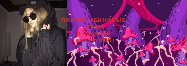 соль ск Аркадак