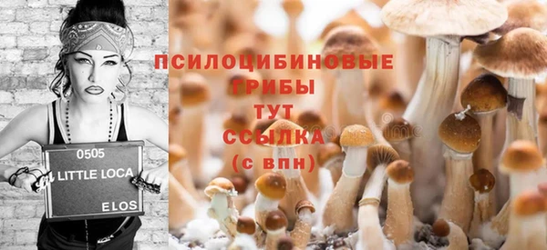 трава Арсеньев
